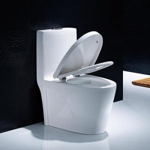 抽水馬桶是如何工作的？